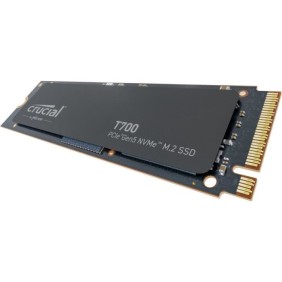 Crucial T700 1To Gen5 NVMe M.2 SSD avec dissipateur thermique CT1000T700SSD5 - Jeux, Photographie, Montage vidéo