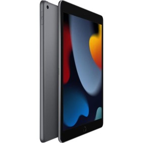 Apple - iPad (2021) - 10,2 WiFi - 256 Go - Gris Sidéral