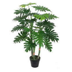 Plante décorative Home...