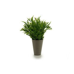 Pot Ibergarden Vert...