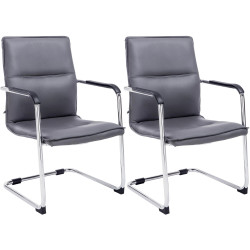 Ensemble de 2 chaises visiteurs gris Seattle