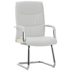 Lot de 2 chaises Caro blanches
