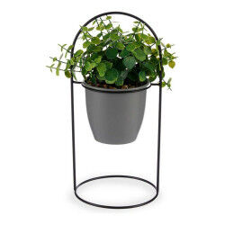 Plante décorative...