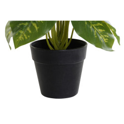 Plante décorative DKD Home...