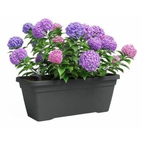 Jardiniere - Plastique - Anthracite - Rectangulaire - L77,9 x P24 x H22cm - ARTEVASI