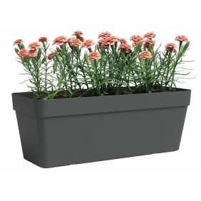 Jardiniere - Plastique - Anthracite - Rectangulaire - L49,9 x P20 x H18,1cm - ARTEVASI