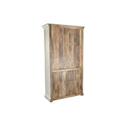 Présentoir DKD Home Decor 110 x 45 x 200 cm Verre Aluminium Bois de manguier