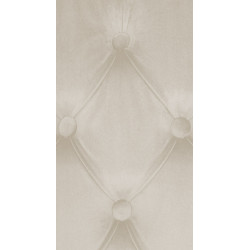 Lot de 2 chaises de salle à manger Lisburn en velours crème