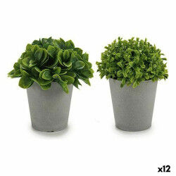 Plante décorative...