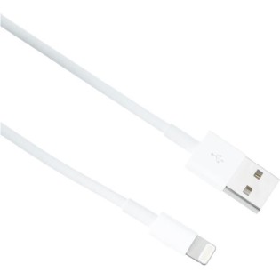 Cable APPLE Lightning To USB cable 2 M