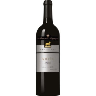 Aries Casa Magrez 2021 Mendoza - Vin rouge d'Argentine