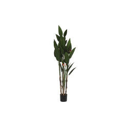 Plante décorative DKD Home...