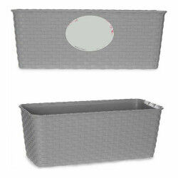 Jardinière Stefanplast 73660 Gris Plastique 13 x 11 x 29 cm (12 Unités)