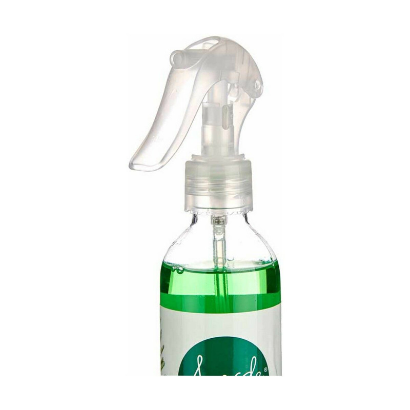 Spray Diffuseur Acorde AR1810535 Pin 280 ml (12 Unités)
