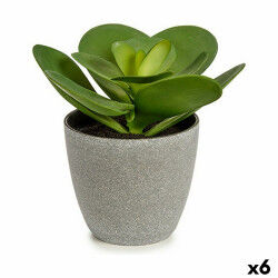Plante décorative...