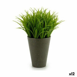 Plante décorative...