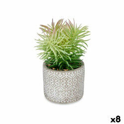 Plante décorative...