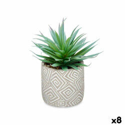 Plante décorative...