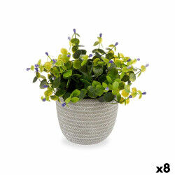 Plante décorative...