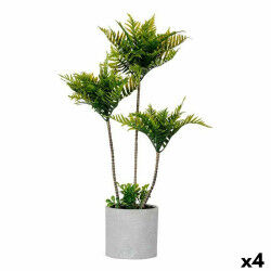 Plante décorative...