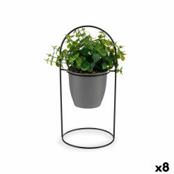 Plante décorative...