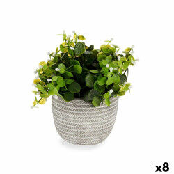 Plante décorative...