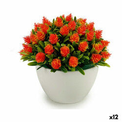Plante décorative...