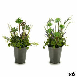 Plante décorative...