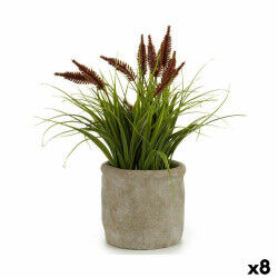 Plante décorative...