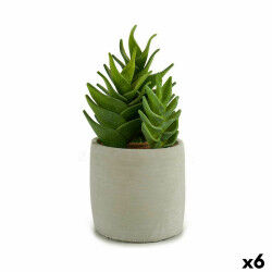 Plante décorative...