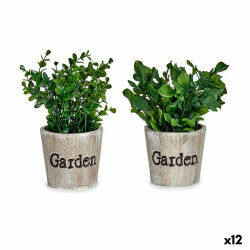 Plante décorative...