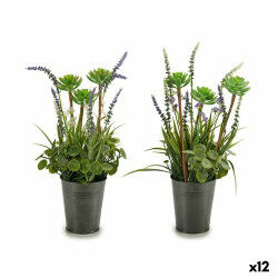 Plante décorative...