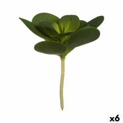 Plante décorative...