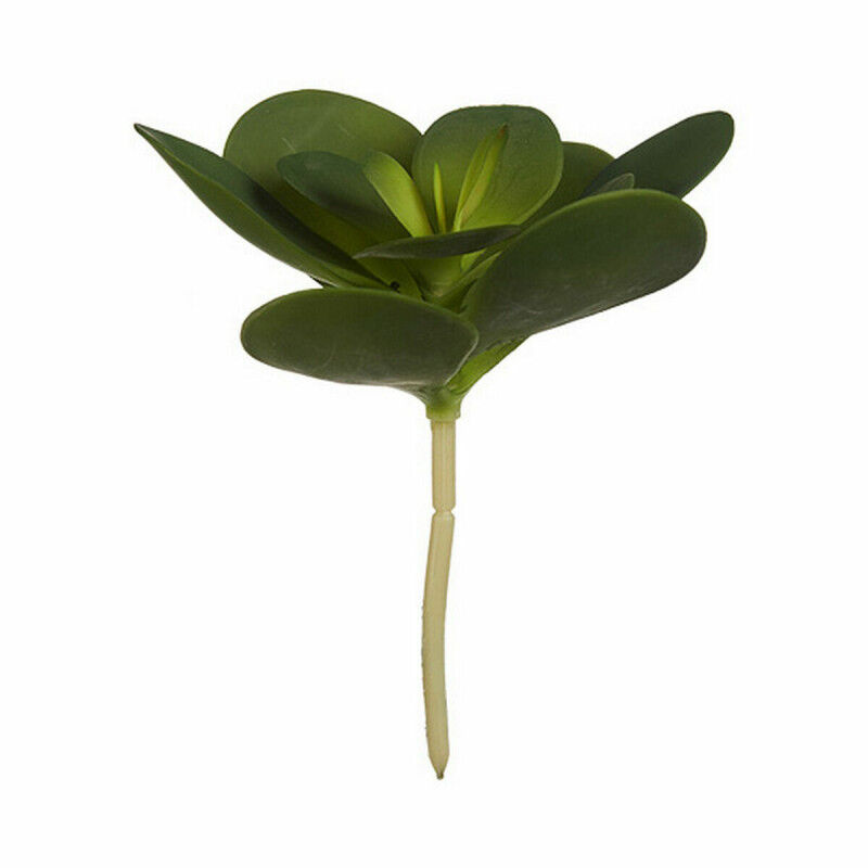 Plante décorative Ibergarden YD180205 Plastique Volets Ronde 18 x 23 x 18 cm (6 Unités)