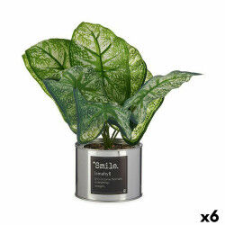 Plante décorative...