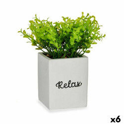 Plante décorative...
