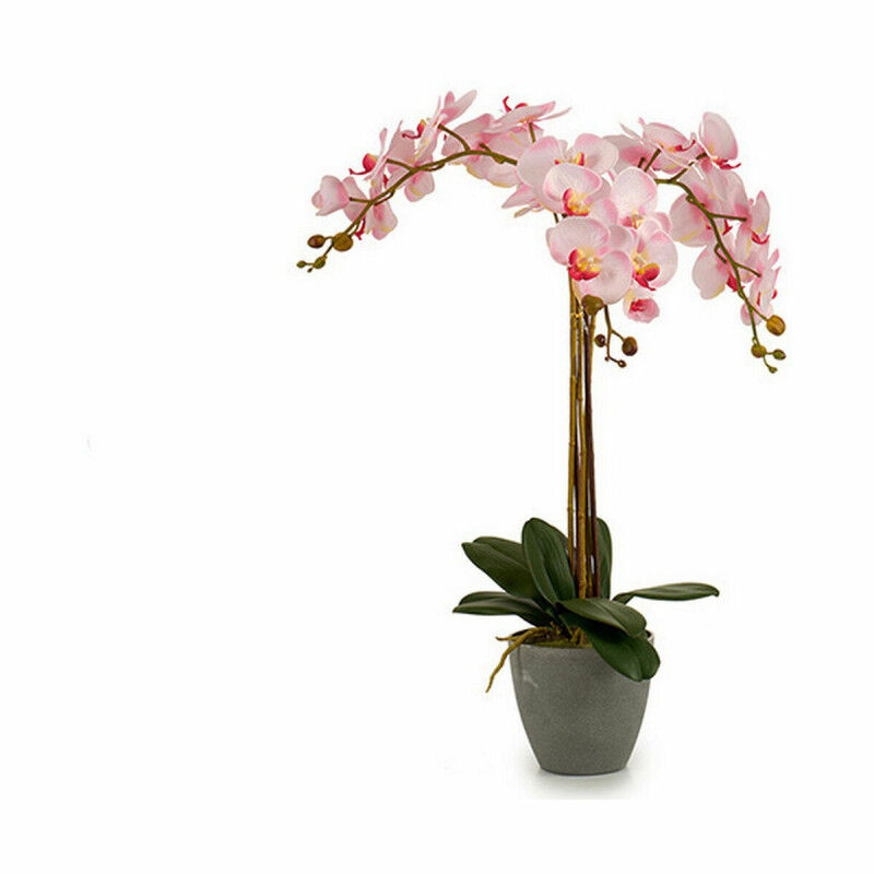 Plante décorative Ibergarden A18124-71-3 Plastique Orchidée 29 x 78 x 35 cm 60 x 78 x 44 cm (2 Unités)