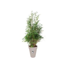 Pot de fleurs rond ELHO Loft Urban Haut 42 - Gris - Ø 42 x H 56 cm - extérieur