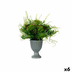 Plante décorative...