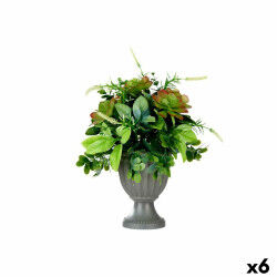Plante décorative...