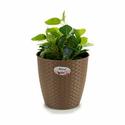 Cache-pot Stefanplast...