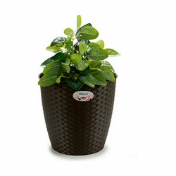 Cache-pot Stefanplast...