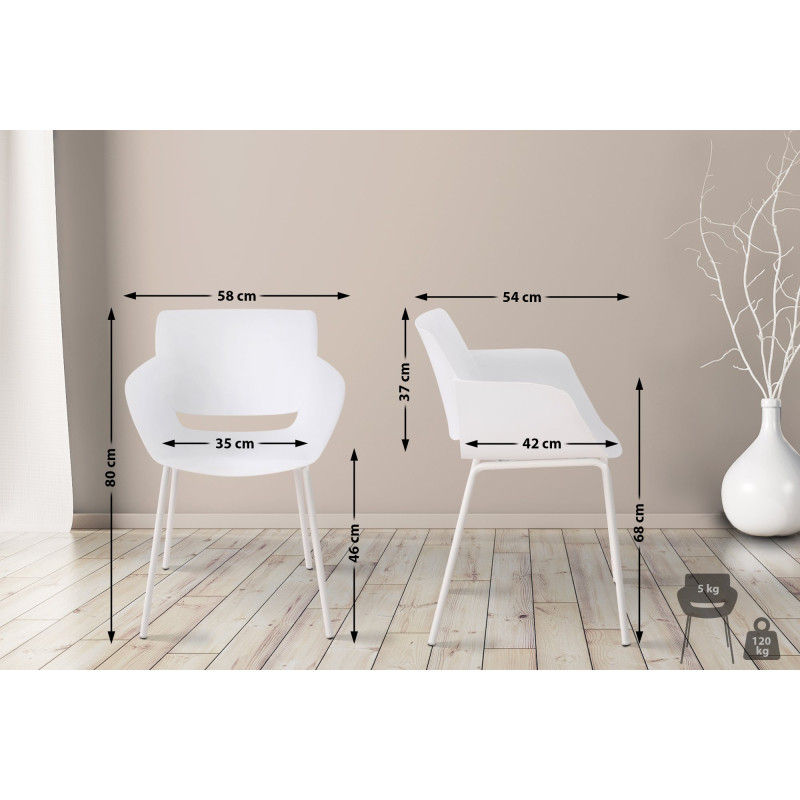 Lot de 2 chaises Alpena en blanc