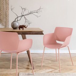 Lot de 2 chaises Alpena roses