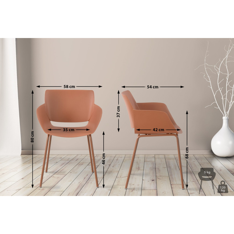 Ensemble de 2 chaises Alpena couleur terre cuite