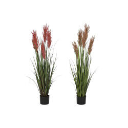Plante décorative Home...