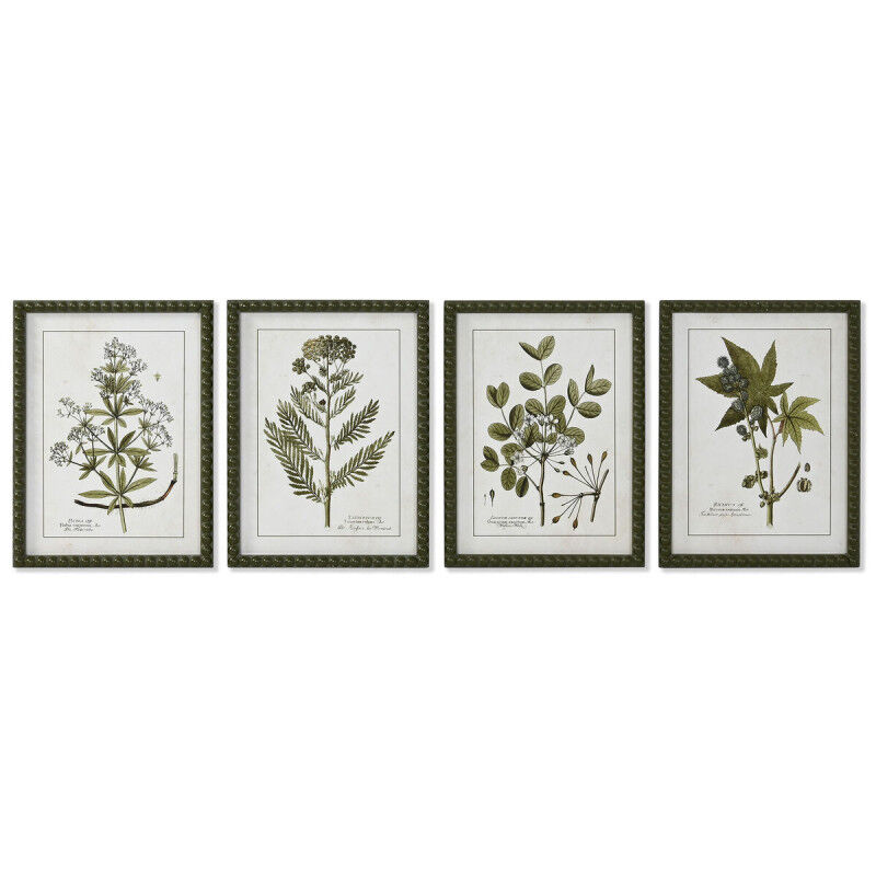 Cadre Home ESPRIT Vert Beige Shabby Chic Plantes botaniques 30 x 2,5 x 40 cm (4 Unités)