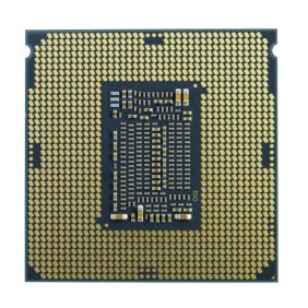 Processeur Intel Celeron G-5900 (BX80701G5900) Socket LGA1200 (chipset Intel serie 400) 58W