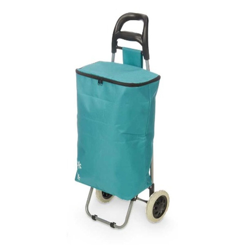 Panier à Courses Kinvara RS-020 NO.45 Turquoise 32 L 94 x 9 x 34,5 cm (6 Unités)