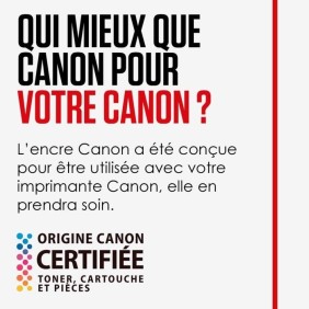 CANON Cartouche d'encre PG-545 XL grande capacité Noir (PG545XL)